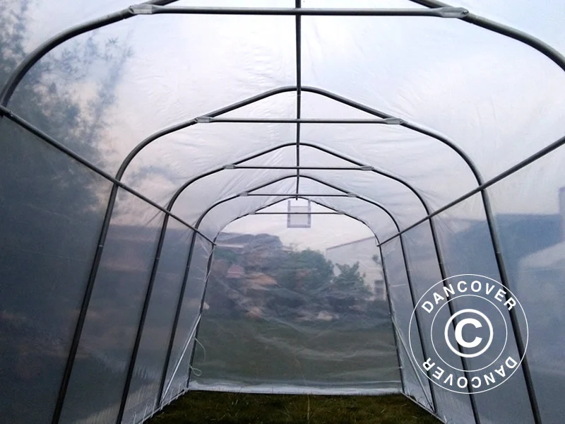 Tunnelväxthus, 2,4x6x2,4m, PE, 14,4m², Transparent - Image 6