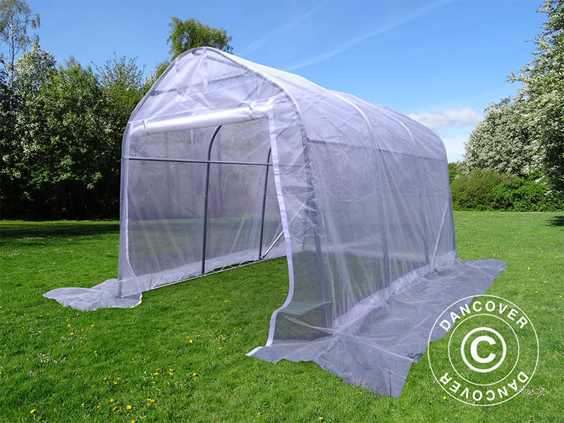 Tunnelväxthus, 2x3x2m, PE, 6m², Transparent - Image 3