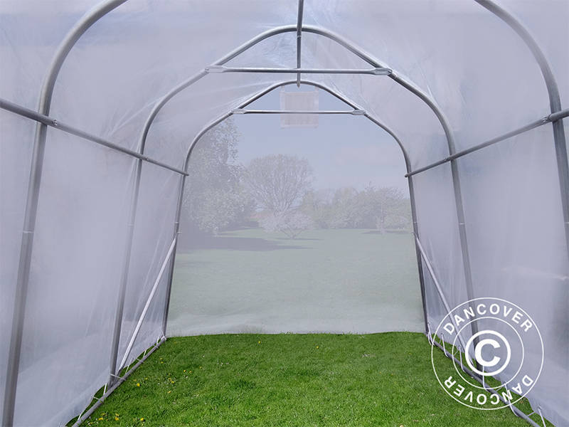 Tunnelväxthus, 2x3x2m, PE, 6m², Transparent - Image 6