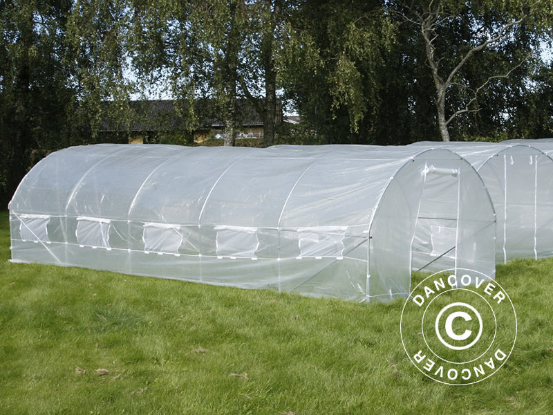 Tunnelväxthus 3x8x2m, 24m², Transparent - Image 4