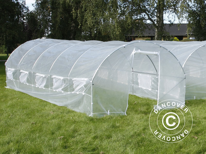 Tunnelväxthus 4x10,6x2m, 42,4m², Transparent - Image 5