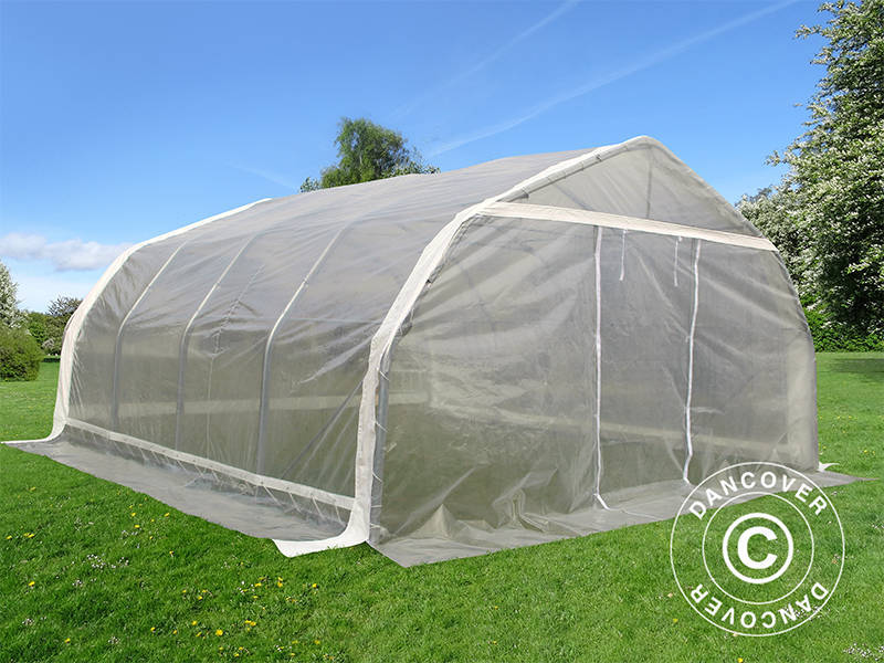 Tunnelväxthus, 5,4x6x2,9m, PE, 32,4m², Transparent - Image 3