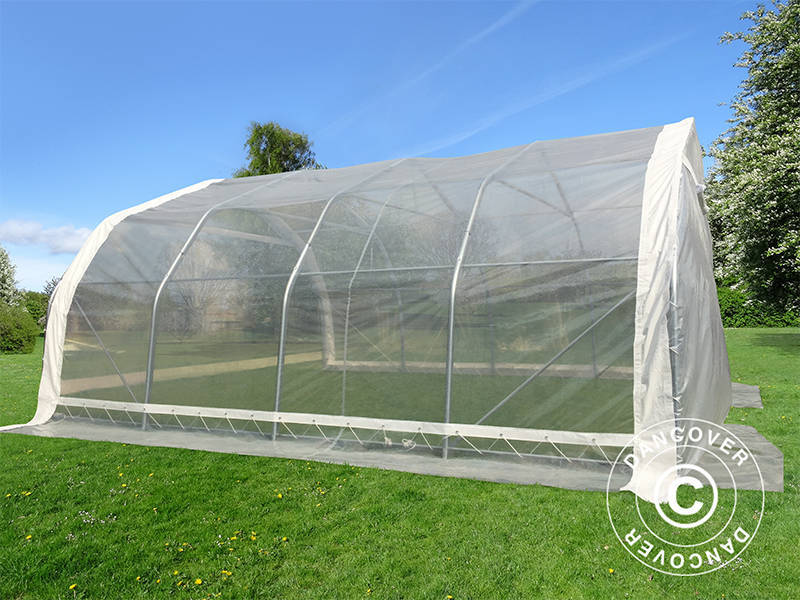 Tunnelväxthus, 5,4x6x2,9m, PE, 32,4m², Transparent - Image 5