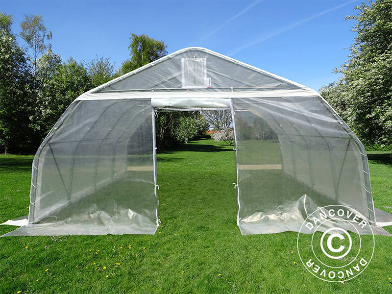 Tunnelväxthus, 5,4x6x2,9m, PE, 32,4m², Transparent - Image 6