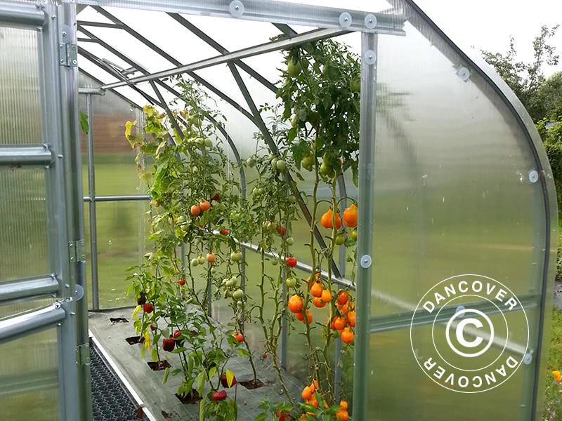 Växthus polykarbonat TITAN Dome 320, 10m², 2,5x4m, Silver - Image 8